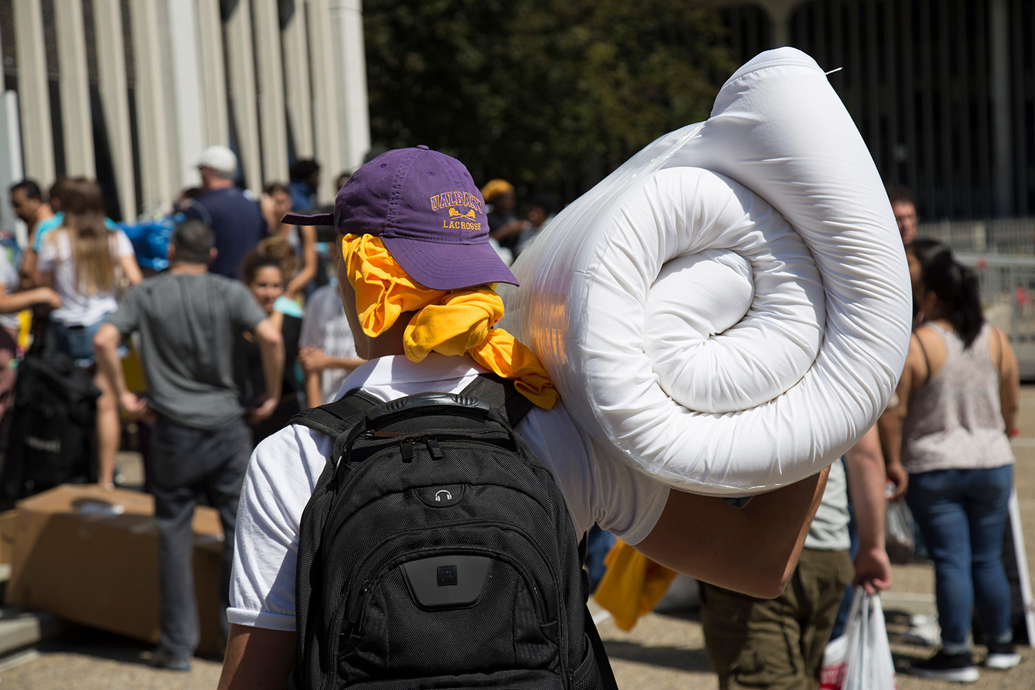 Ualbany Fall 2025 Calendar Move In Days Tomi Lethia